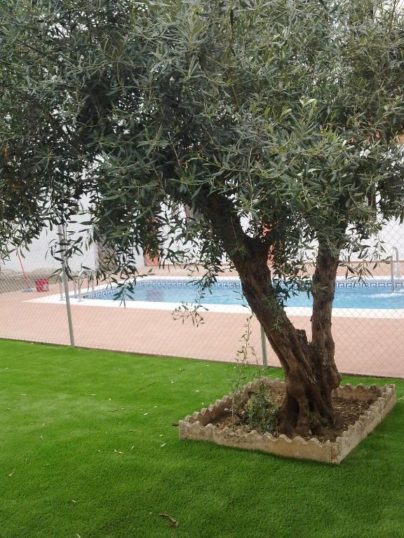 Apartamentos Turisticos Domus Aquae Mérida Ngoại thất bức ảnh